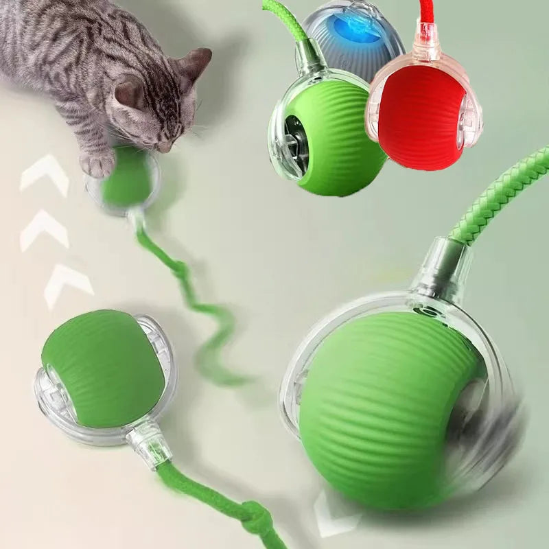 Wiggle Ball — Automatic Rolling Cat Toy