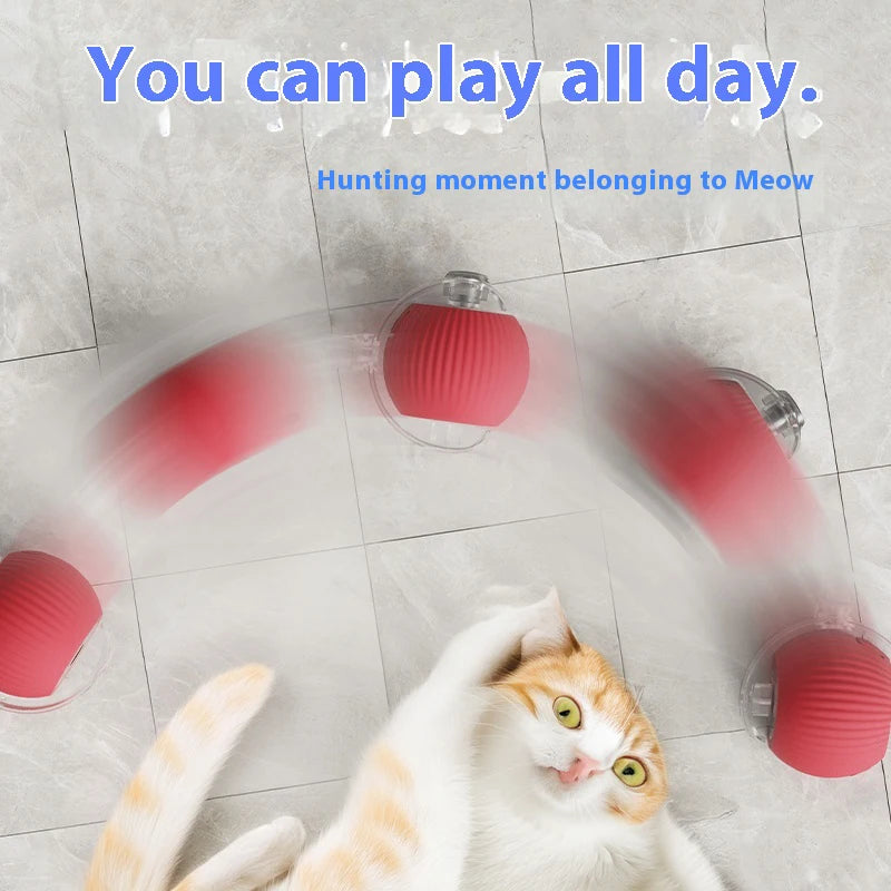 Wiggle Ball — Automatic Rolling Cat Toy