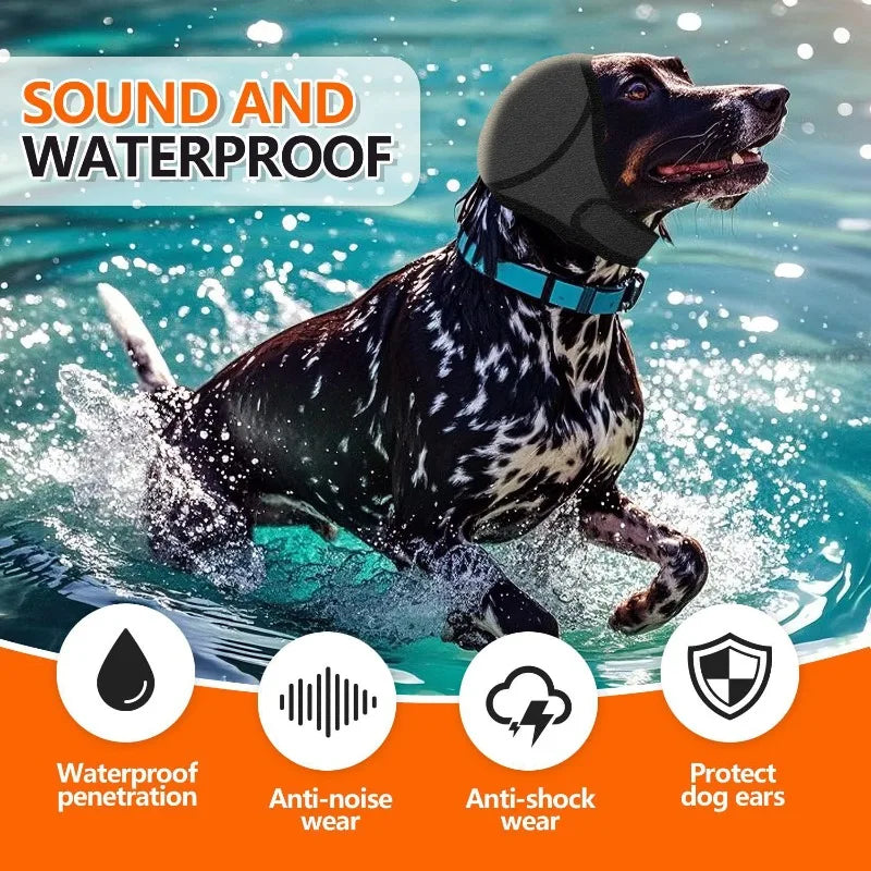 Calm Ears Hood — Noise-Canceling Comfort for Dogs