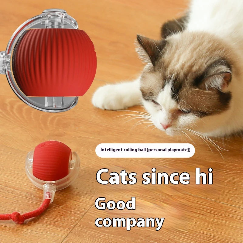 Wiggle Ball — Automatic Rolling Cat Toy