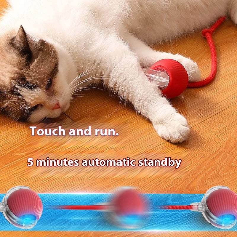 Wiggle Ball — Automatic Rolling Cat Toy