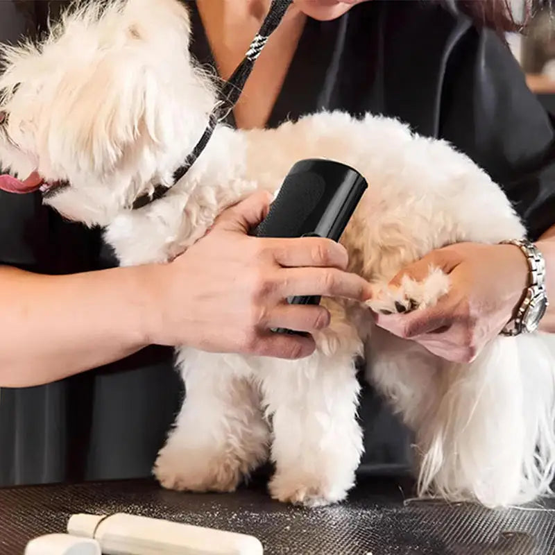 Smooth Coat — Professional Deshedding Brush