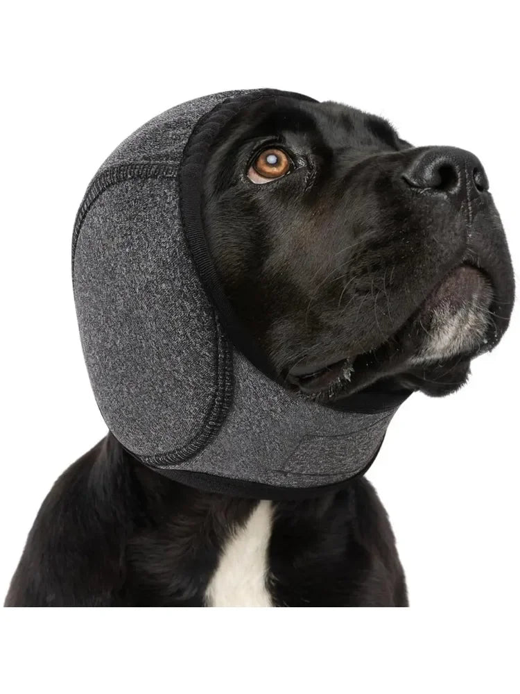 Calm Ears Hood — Noise-Canceling Comfort for Dogs