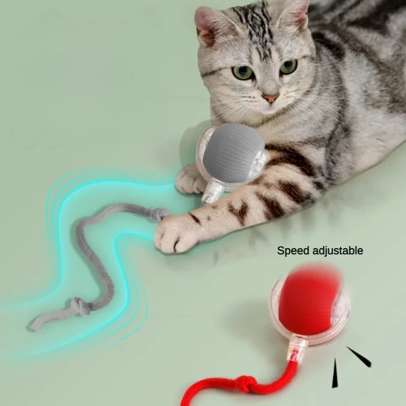 Wiggle Ball — Automatic Rolling Cat Toy